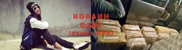 крисы Алексин