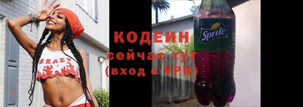 гашик Ладушкин