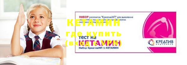 крисы Алексин