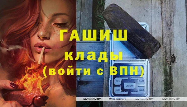 крисы Алексин