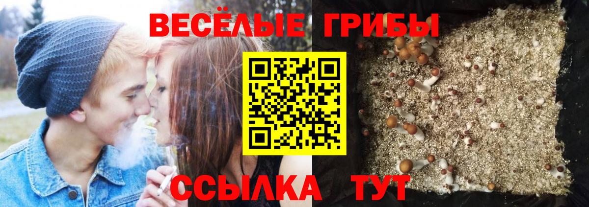 Псилоцибиновые грибы GOLDEN TEACHER Полевской