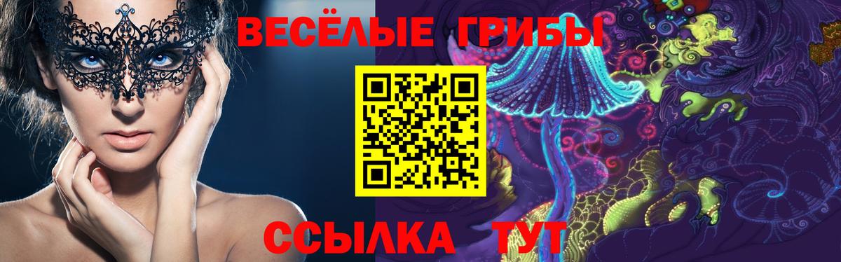 Псилоцибиновые грибы мицелий  Псилоцибиновые грибы ЛСД  Вход с VPN  Полевской 